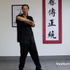 Mastering Advanced Chum Kiu - Image 4