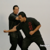 Mastering Advanced Chum Kiu - Image 3