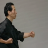Mastering Siu Lim Tao - Image 2