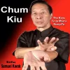 Mastering Advanced Chum Kiu
